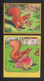 Harry Pettit ( 1913 - 1958 ) - Little Red Squirrel, Nieuw