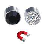 Fako Bijoux® - Oorbellen - Magneet - Magnetisch - RVS - 6mm, Handtassen en Accessoires, Verzenden, Nieuw