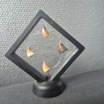 Dinosaurus Tand - Mosasaurus - 12 cm - 12 cm - 5 cm - (4), Verzamelen, Dierenverzamelingen, Nieuw