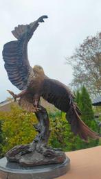Beeld, flying eagle - 56 cm - brons marmer