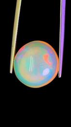 Opale Cabochon- 1.39 g - (1), Collections