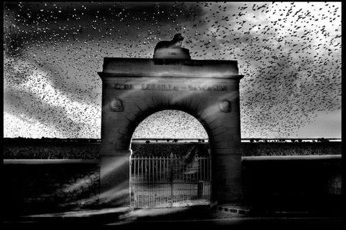 Nuikki - Château Leoville-Las-Cases, Antiek en Kunst, Kunst | Schilderijen | Modern
