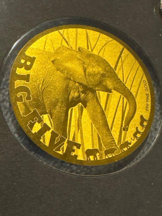 Tsjaad. 5000 Francs Big Five Afrikanischer Elefant - 1/200, Postzegels en Munten, Munten | Europa | Niet-Euromunten