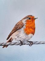 Mireille Both - Robin IV