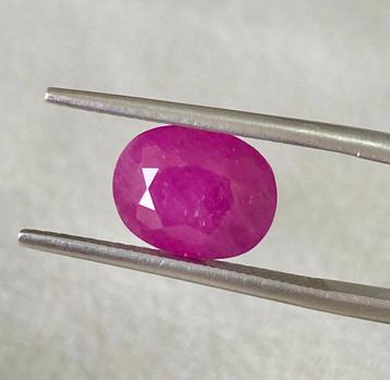 Rubis - 5.33 ct - Lotus Gemology (Thaïlande) - Non