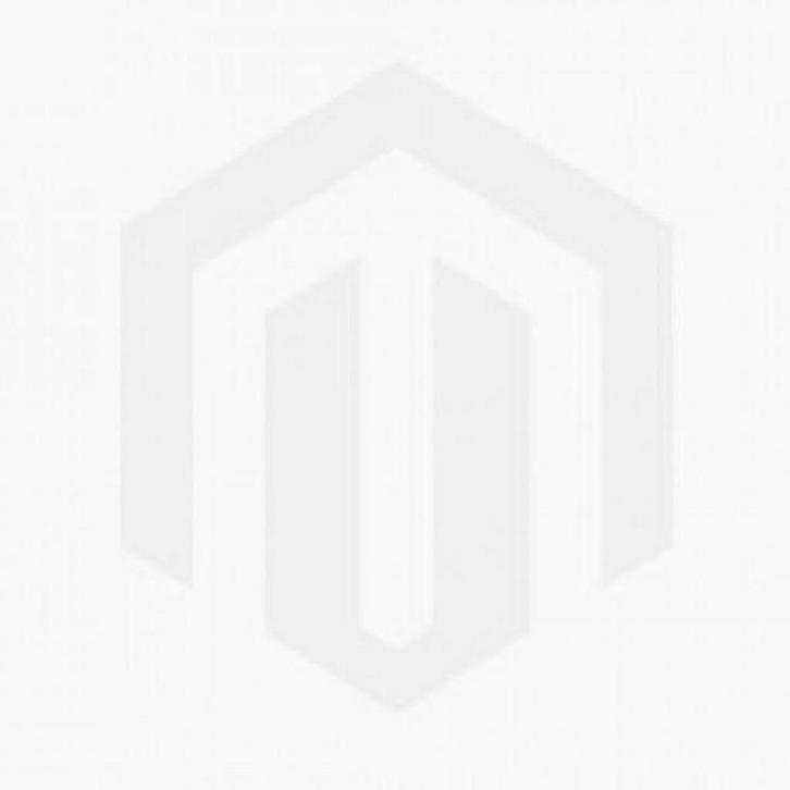 Een Vaste Burcht 9789090233789 F. Zuurveen, Boeken, Geschiedenis | Wereld, Zo goed als nieuw, Verzenden