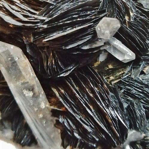 Kwarts Kristallen op matrix - Hoogte: 129 mm - Breedte: 71, Verzamelen, Mineralen en Fossielen