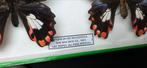 Asian Papilio sp. Butterflies Collection (39x26 cm ) -, Collections, Collections Animaux