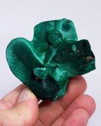 Malachite botryoïdale excellente avec Chantilly - Hauteur :