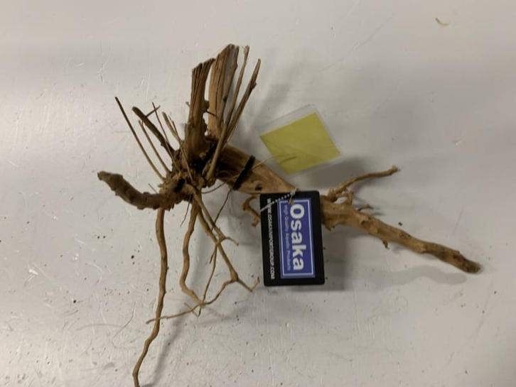 Driftwood Selected DW23 - 40x40x20cm (Small drift wood), Dieren en Toebehoren, Vissen | Aquaria en Toebehoren, Plant(en), Steen of Hout