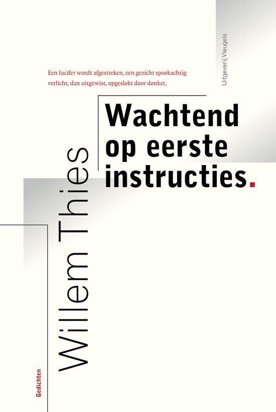 Wachtend op eerste instructies – Willem Thies 9789493350090, Boeken, Gedichten en Poëzie, Zo goed als nieuw, Verzenden