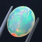 Zonder Minimumprijs Oranje Opaal - 3.86 ct - International, Nieuw
