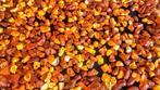 Amber - Barnsteen - Large Lot - 1,8 kg - Rough Baltic Amber