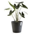 NIEUW - Amsterdam bloempot Dark Grey Ø 30 cm, Tuin en Terras, Bloempotten, Verzenden, Nieuw