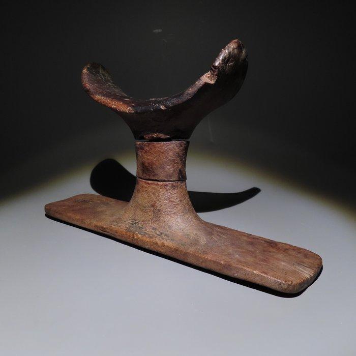 Oud-Egyptisch Hout Hoofsteun. Nieuw Koninkrijk, 1550 - 1070, Verzamelen, Mineralen en Fossielen