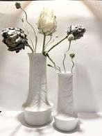 Hutschenreuther - Cuno Fischer - Vaas (2) - 5115 - Biscuit