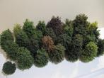 Loofbomen H0 - Décor de train miniature (30), Hobby en Vrije tijd, Nieuw