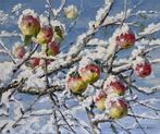 Irina Alex (1961) - La Première Neige - Belles Pommes