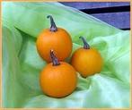 Ball Orange kalebas basiseenheid, Nieuw