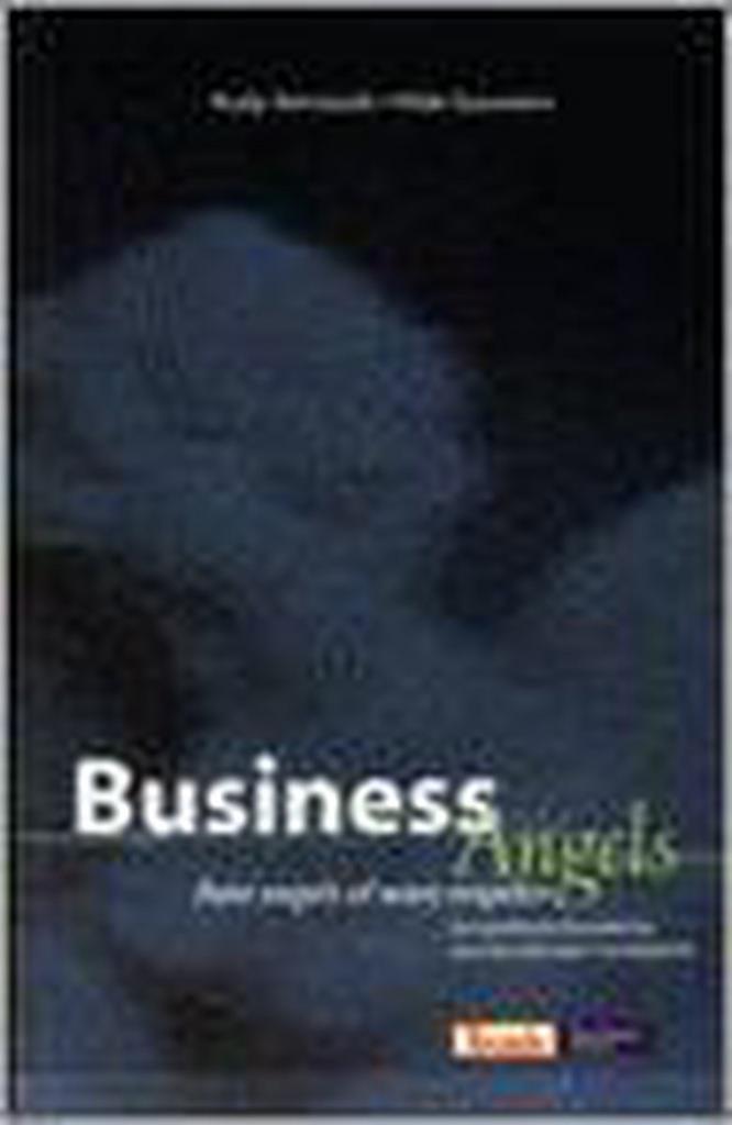 Business Angels 9789054667407 R. Aernoudt, Boeken, Economie, Management en Marketing, Gelezen, Verzenden