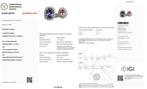 Trouwring - 14 karaat Witgoud - 1.98ct. tw. Tanzaniet -