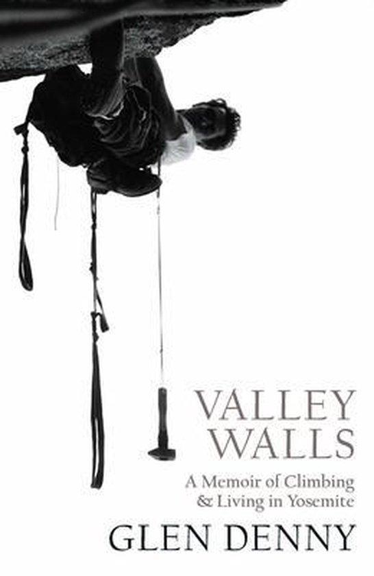 Valley Walls 9781930238633 Glen Denny, Boeken, Taal | Engels, Gelezen, Verzenden