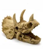 Dinosaurus kunstschedel Triceratops OS-218 - aquarium decora, Ophalen of Verzenden, Sierelement