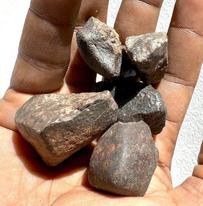 veel NWA xxx niet-geclassificeerd met een mooie vorm, Verzamelen, Mineralen en Fossielen