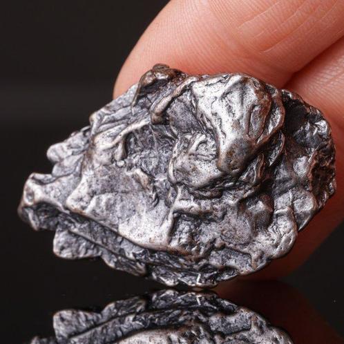 Campo del Cielo meteoriet – ijzer-nikkel met Widmanstätten, Verzamelen, Mineralen en Fossielen