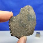 Ongroepte achondriet. NWA 13791 (Sahara, 2020) Zeer