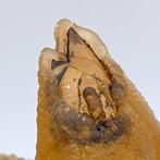 Matryoska en calcite orange, cristaux uniques Cristaux sur