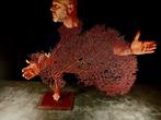 enorme rode gorgonen Taxidermie volledige montage -, Nieuw