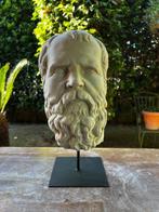 sculptuur, Testa del filosofo Socrate - 38 cm - marmeren