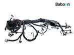 Kabelboom Harley-Davidson FLHR Road King 2009-2013 ABS Model, Motoren, Gebruikt