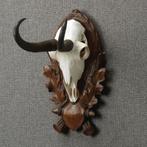 Gems Schedel Taxidermie Opgezette Dieren By Max, Verzamelen, Ophalen of Verzenden, Nieuw, Wild dier, Opgezet dier