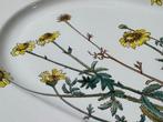 Villeroy & Boch - Bord - Botanica - Porselein, Antiek en Kunst