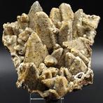 Rarissime, quartz pseudomorphose de calcite avec pyrite, Collections