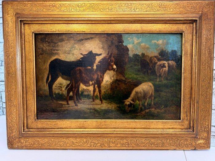 Filippo Palizzi (1818-1899) - Asinelli, Antiek en Kunst, Kunst | Schilderijen | Klassiek