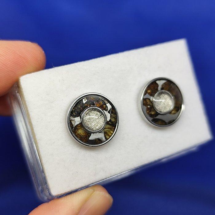 Pallasiet + ijzeren meteoriet. Oorbellen De beste kwaliteit!, Verzamelen, Mineralen en Fossielen