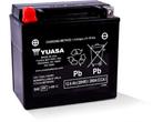 Veiling - Yuasa YTX14-BS 12 V AGM motorfiets accu, Auto-onderdelen, Nieuw