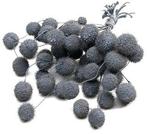 Plataanballetjes Plane Ball Licht Grijs zak