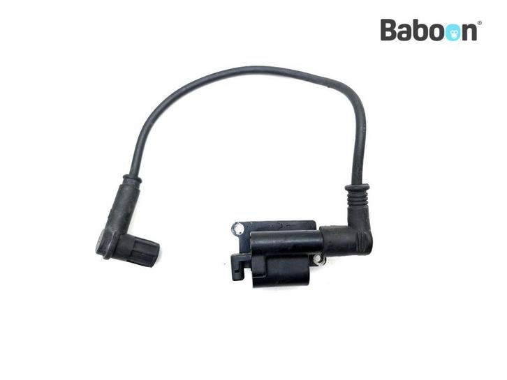 Bobine Ducati Monster 1100 EVO 2011-2013, Motoren, Onderdelen | Ducati, Verzenden