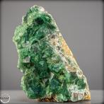 Cluster de cristaux de fluorite naturel de Madagascar de la, Verzamelen, Mineralen en Fossielen