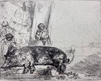 Rembrandt Harmensz van Rijn (1606-1669), after - Il maiale, Antiek en Kunst