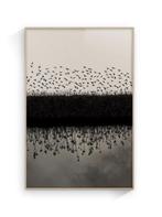 Jorge Omeñaca - Birds & Reflects
