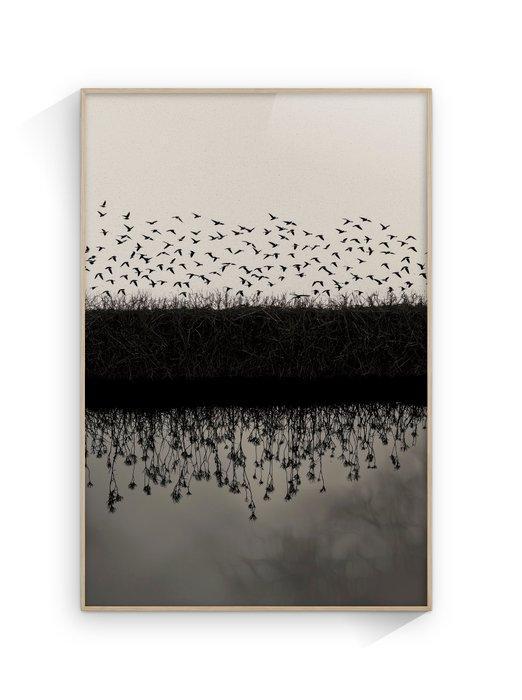 Jorge Omeñaca - Birds & Reflects, Antiquités & Art, Art | Objets design