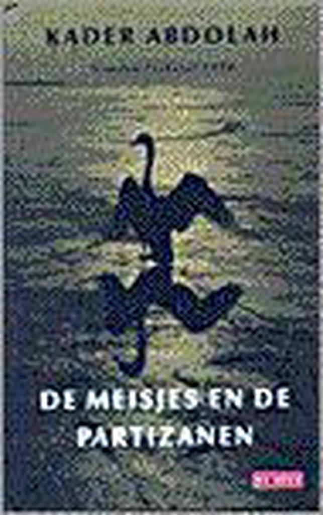 De meisjes en de partizanen 9789052262604 Kader Abdolah, Boeken, Literatuur, Gelezen, Verzenden