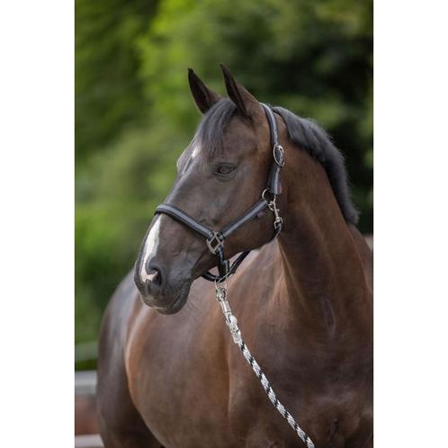 Licol mustang double réglage noir / argent taille 3 - kerbl, Dieren en Toebehoren, Paarden en Pony's | Overige Paardenspullen