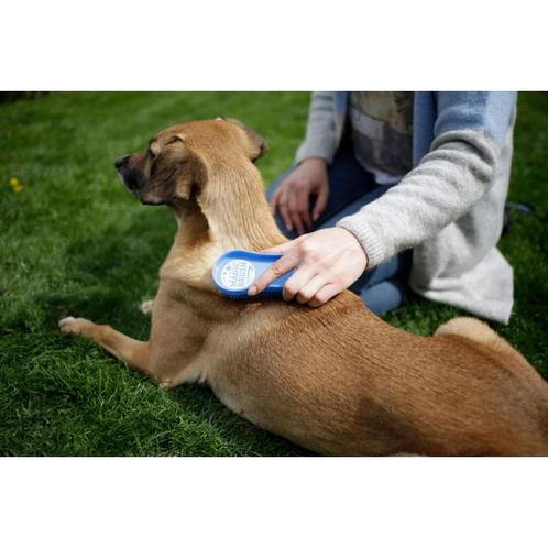 Magicbrush dog blue sky - kerbl, Dieren en Toebehoren, Honden-accessoires, Nieuw