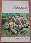 Schildpadden 9789003923219